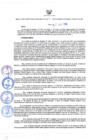 Vista preliminar de documento Resolución Directoral N° 00074-2020