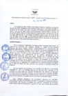 Vista preliminar de documento Resolución Directoral N° 00088-2020