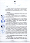 Vista preliminar de documento Resolución Directoral N° 00080-2020