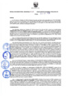 Vista preliminar de documento Resolución Directoral N° 00117-2020