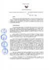 Vista preliminar de documento Resolución Directoral N° 00129-2020