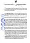 Vista preliminar de documento Resolución Directoral N° 00127-2020