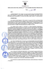 Vista preliminar de documento Resolución Directoral N° 00133-2020