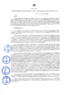 Vista preliminar de documento Resolución Directoral N° 00135-2020