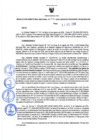Vista preliminar de documento Resolución Directoral N° 00146-2020