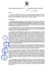 Vista preliminar de documento Resolución Directoral N° 00145-2020