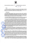 Vista preliminar de documento Resolución Directoral N° 00153-2020