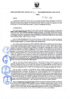 Vista preliminar de documento Resolución Directoral N° 00161-2020