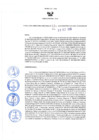Vista preliminar de documento Resolución Directoral N° 00170-2020