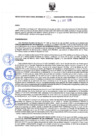 Vista preliminar de documento Resolución Directoral N° 00173-2020