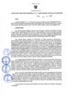 Vista preliminar de documento Resolución Directoral N° 00181-2020
