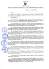 Vista preliminar de documento Resolución Directoral N° 00203-2020