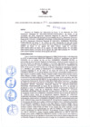Vista preliminar de documento Resolución Directoral N° 00194-2020