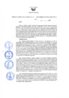 Vista preliminar de documento Resolución Directoral N° 00215-2020