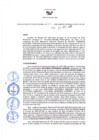 Vista preliminar de documento Resolución Directoral N° 00214-2020