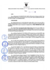 Vista preliminar de documento Resolución Directoral N° 00218-2020