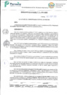 Vista preliminar de documento RA-196-2021.pdf