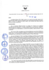 Vista preliminar de documento Resolución Directoral N° 00272-2021