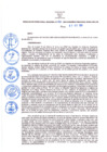 Vista preliminar de documento Resolución Directoral N° 00267-2021