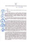 Vista preliminar de documento Resolución Directoral N° 00270-2021