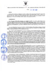 Vista preliminar de documento Resolución Directoral N° 00274-2021