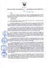 Vista preliminar de documento Resolución Directoral N° 00011-2022