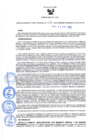 Vista preliminar de documento Resolución Directoral N° 00013-2022