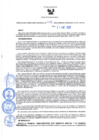Vista preliminar de documento Resolución Directoral N° 00014-2022