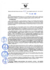 Vista preliminar de documento Resolución Directoral N° 00017-2022