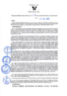 Vista preliminar de documento Resolución Directoral N° 00016-2022