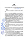 Vista preliminar de documento Resolución Directoral N° 00024-2022