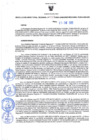 Vista preliminar de documento Resolución Directoral N° 00028-2022