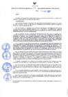 Vista preliminar de documento Resolución Directoral N° 00064-2022