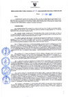 Vista preliminar de documento Resolución Directoral N° 00075-2022