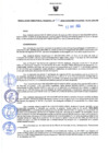 Vista preliminar de documento Resolución Directoral N° 00132-2022