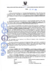 Vista preliminar de documento Resolución Directoral N° 00142-2022