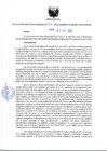 Vista preliminar de documento Resolución Directoral N° 00137-2022