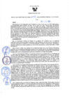 Vista preliminar de documento Resolución Directoral N° 00151-2022