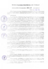 Vista preliminar de documento REA0125-2009