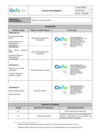 Vista preliminar de documento Procedimiento PE0209
