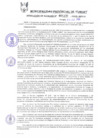 Vista preliminar de documento REA0276-2009