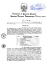 Vista preliminar de documento RGG 015-2018.pdf