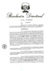 Vista preliminar de documento RD 256-2017.pdf