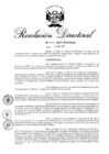 Vista preliminar de documento RD 255-2017.pdf