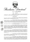 Vista preliminar de documento RD 254-2017.pdf