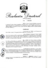 Vista preliminar de documento RD 041-2018.pdf