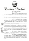 Vista preliminar de documento RD 253-2017.pdf