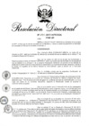 Vista preliminar de documento RD 251-2017.pdf