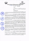 Vista preliminar de documento redi2020_635.pdf