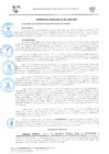 Vista preliminar de documento ORD0001-2009